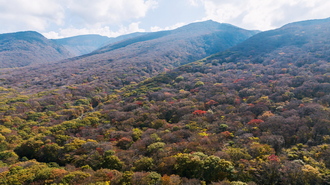 한라산 천아계곡 단풍(가을 사진) 썸네일
